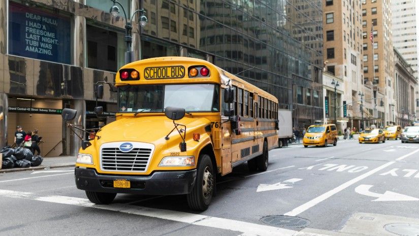 Buses – The Primary User