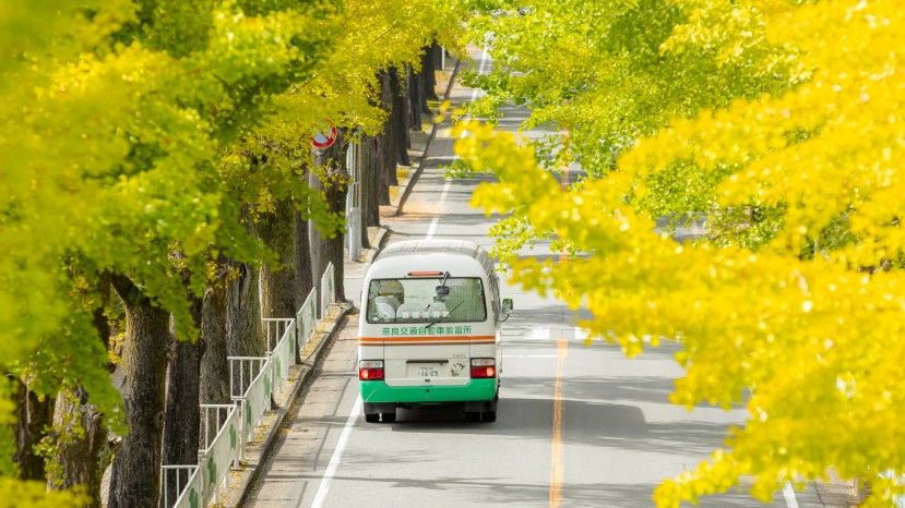 What is the 20-Meter Bus Lane Rule