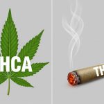 What Is The Difference Between THC And THCA   Let’s Break It Down